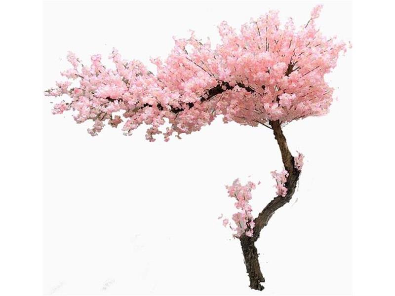 CHERRY BLOSSOM TREE NP0001_200  ΥΨΟΣ 200x200cm NewPlan