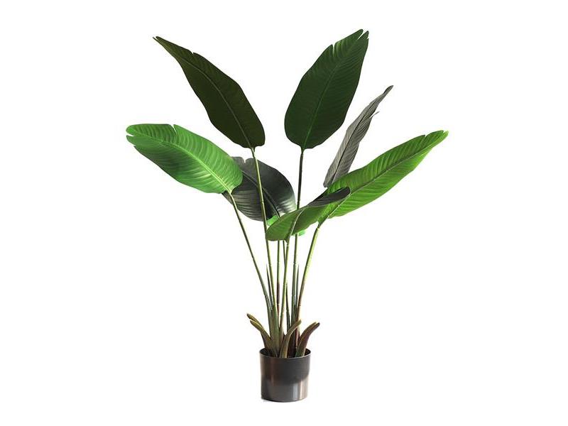 BANANA TREE NP1410_120  ΥΨΟΣ 120cm NewPlan