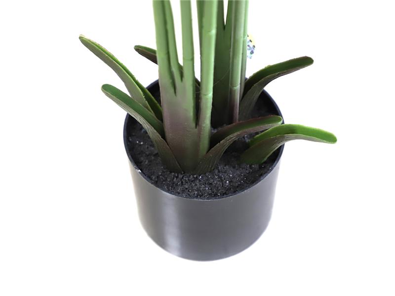 BANANA TREE NP1410_120  ΥΨΟΣ 120cm NewPlan