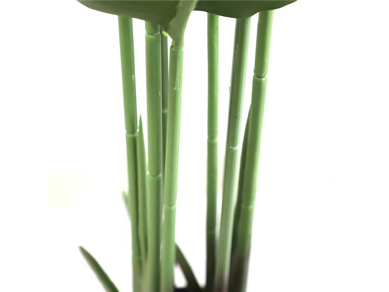 BANANA TREE NP1410_120  ΥΨΟΣ 120cm NewPlan