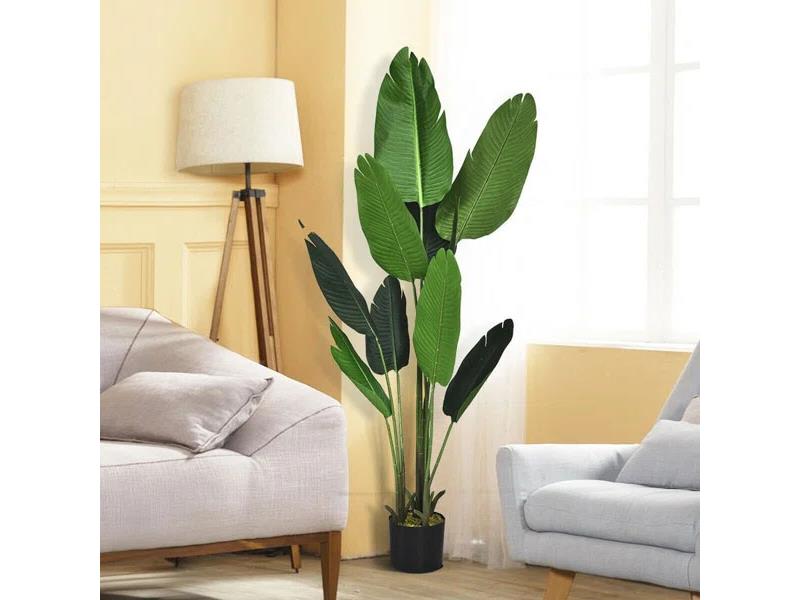 BANANA TREE NP1410_120  ΥΨΟΣ 120cm NewPlan