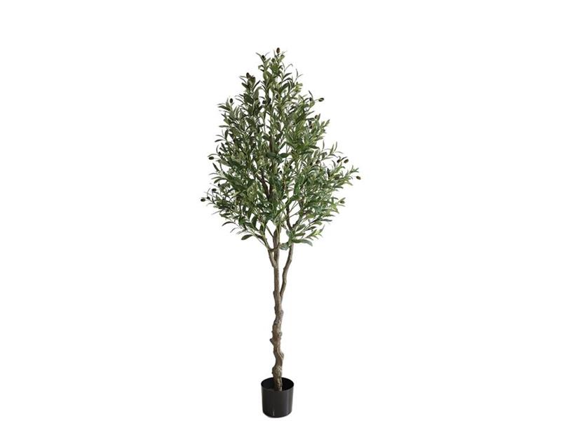 OLIVE TREE NP410_180  ΥΨΟΣ 180cm NewPlan