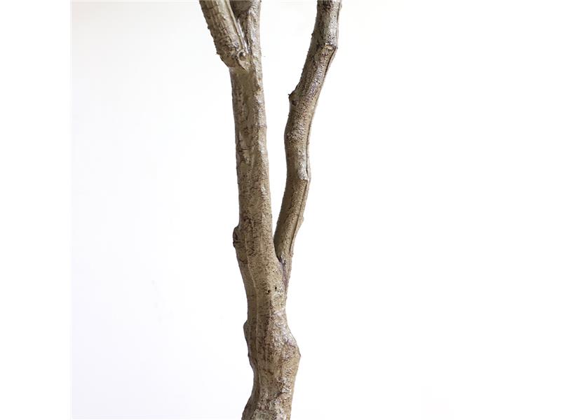 OLIVE TREE NP410_180  ΥΨΟΣ 180cm NewPlan