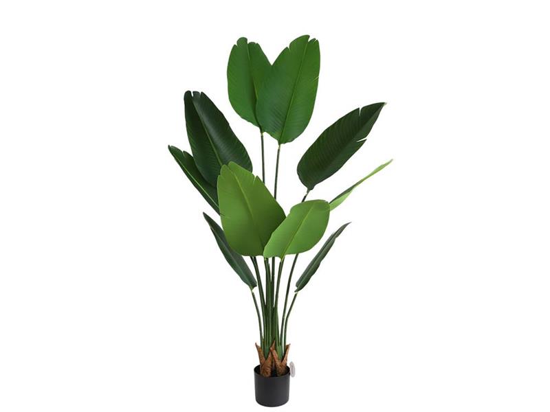 BIRD OF PARADISE  NP717_160  ΥΨΟΣ 160cm NewPlan