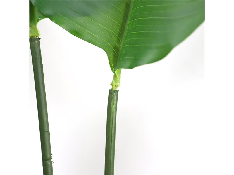 BIRD OF PARADISE  NP717_160  ΥΨΟΣ 160cm NewPlan