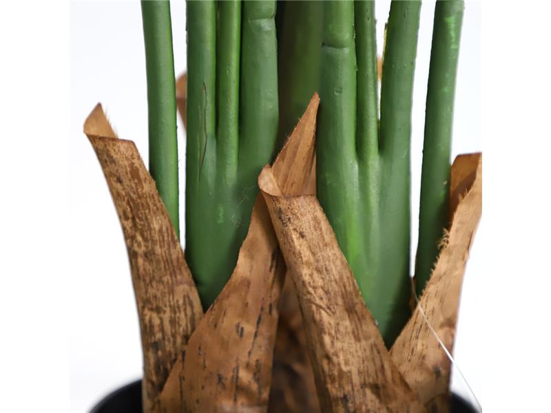 BIRD OF PARADISE  NP717_160  ΥΨΟΣ 160cm NewPlan