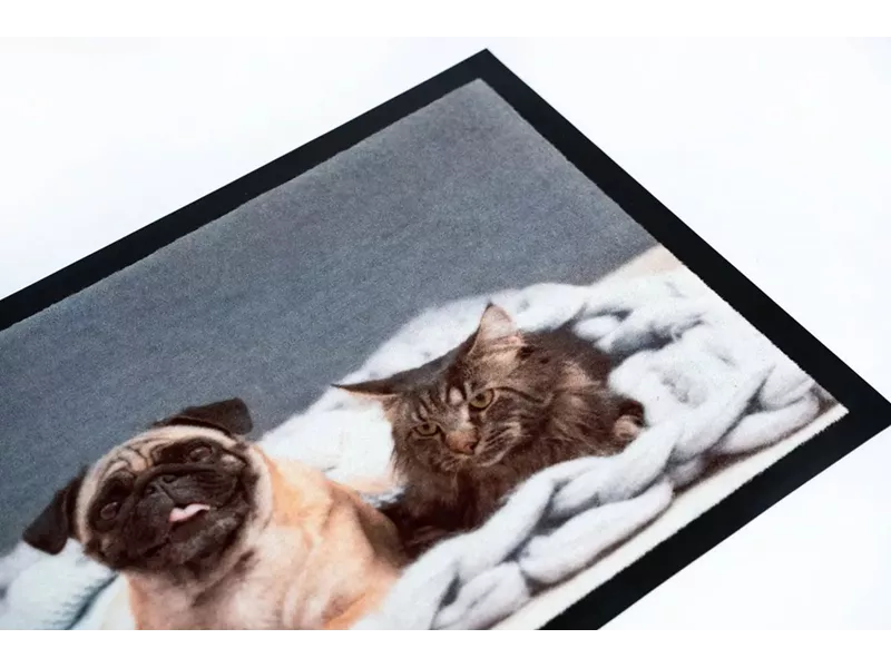 Sdim Πατάκι Εισόδου Μοκέτα με Αντιολισθητικό Υπόστρωμα Image 012 Cat Dog 40x40εκ. Πάχους 6mm