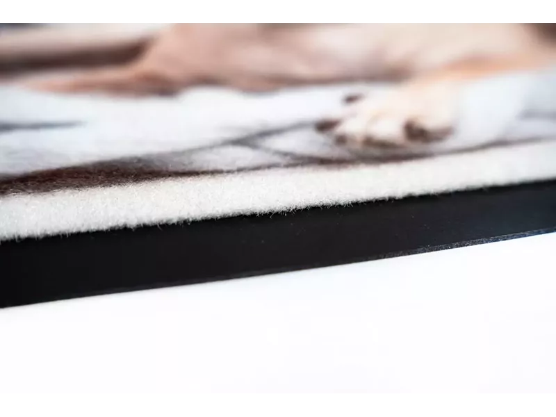 Sdim Πατάκι Εισόδου Μοκέτα με Αντιολισθητικό Υπόστρωμα Image 012 Cat Dog 40x40εκ. Πάχους 6mm