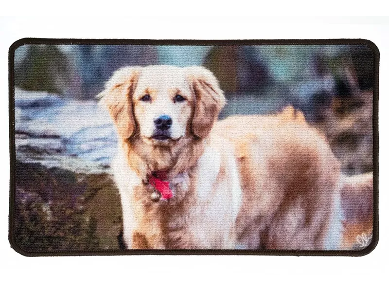 Sdim Πατάκι Εισόδου Μοκέτα με Αντιολισθητικό Υπόστρωμα Animal 002 Πολύχρωμο 44x75εκ.