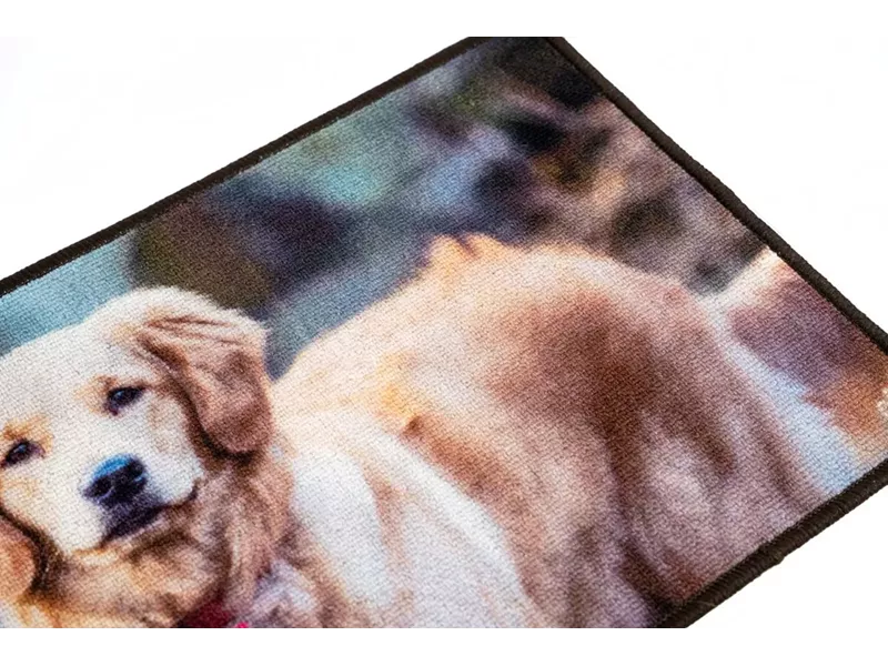 Sdim Πατάκι Εισόδου Μοκέτα με Αντιολισθητικό Υπόστρωμα Animal 002 Πολύχρωμο 44x75εκ.