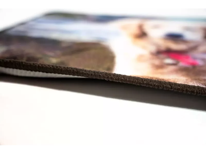 Sdim Πατάκι Εισόδου Μοκέτα με Αντιολισθητικό Υπόστρωμα Animal 002 Πολύχρωμο 44x75εκ.