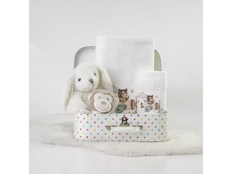 Πετσέτες Σετ 2ΤΜΧ Pilot