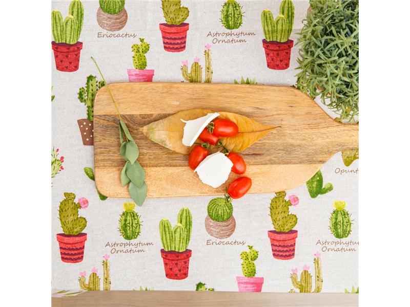 Τραβέρσα Cacti