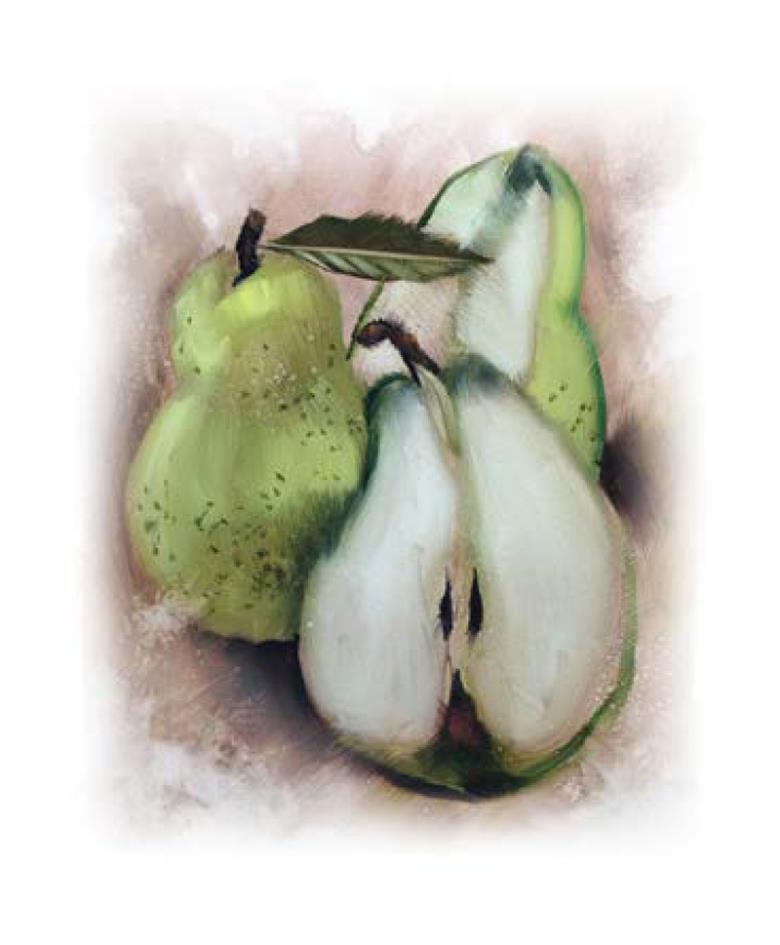 Roller και ταπετσαρία τοίχου E-119