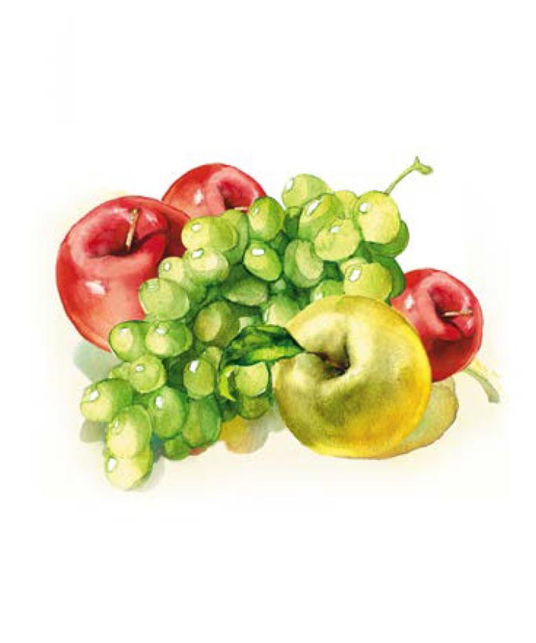 Roller και ταπετσαρία τοίχου E-120