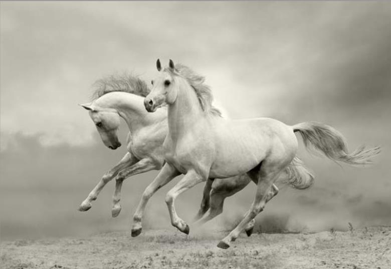 Roller και ταπετσαρία τοίχου E-171