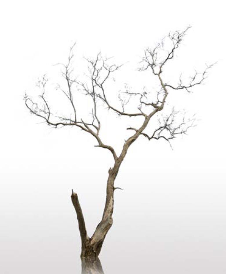 Roller και ταπετσαρία τοίχου E-177