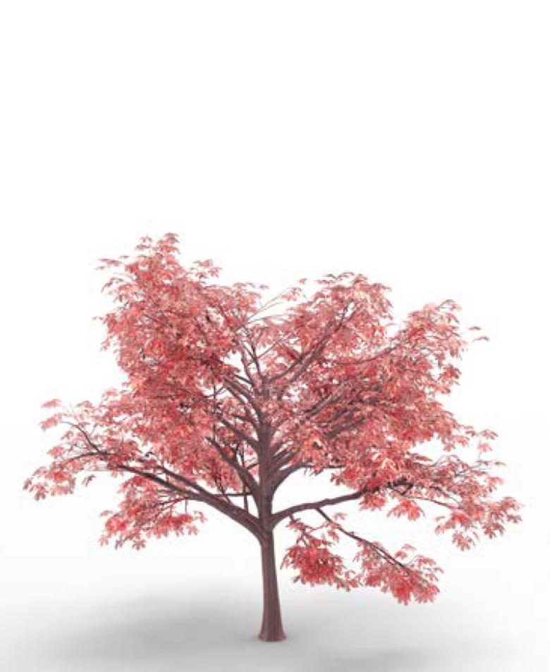 Roller και ταπετσαρία τοίχου E-178