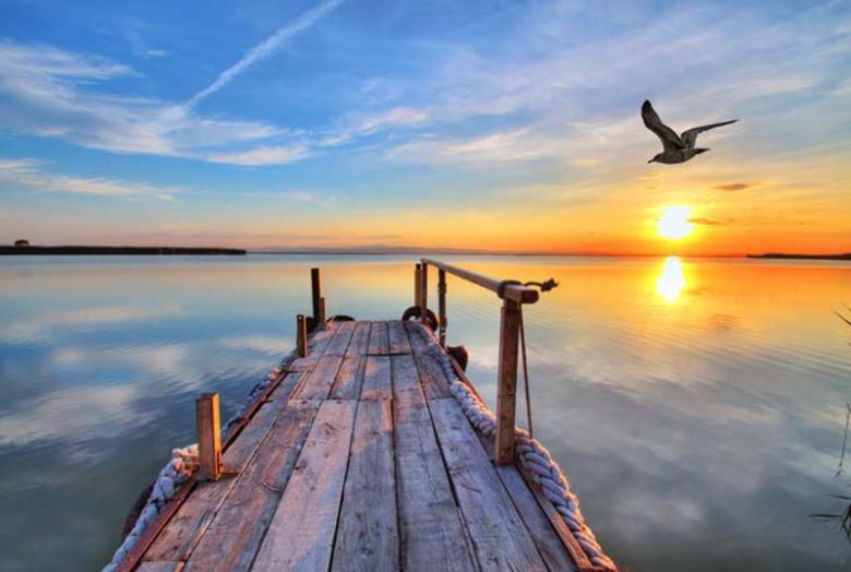 Roller και ταπετσαρία τοίχου E-182