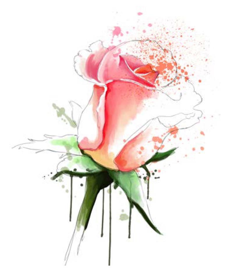 Roller και ταπετσαρία τοίχου E-194