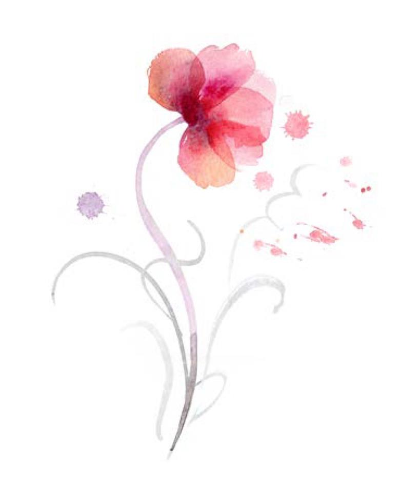 Roller και ταπετσαρία τοίχου E-195