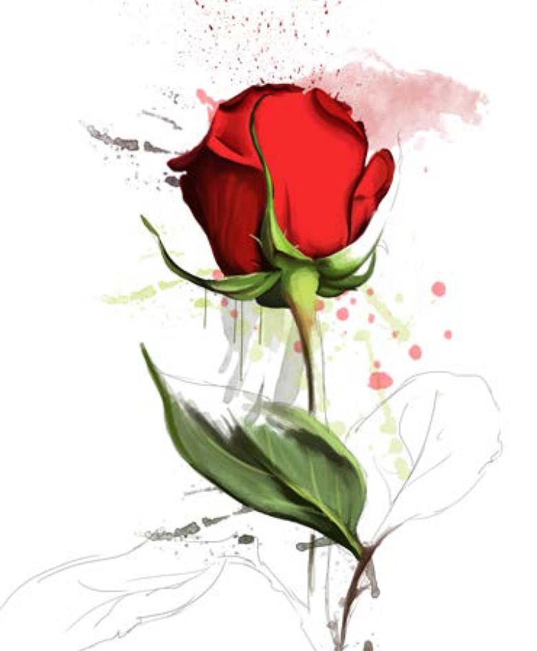 Roller και ταπετσαρία τοίχου E-197