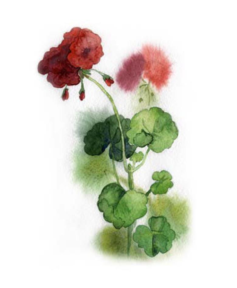 Roller και ταπετσαρία τοίχου E-200