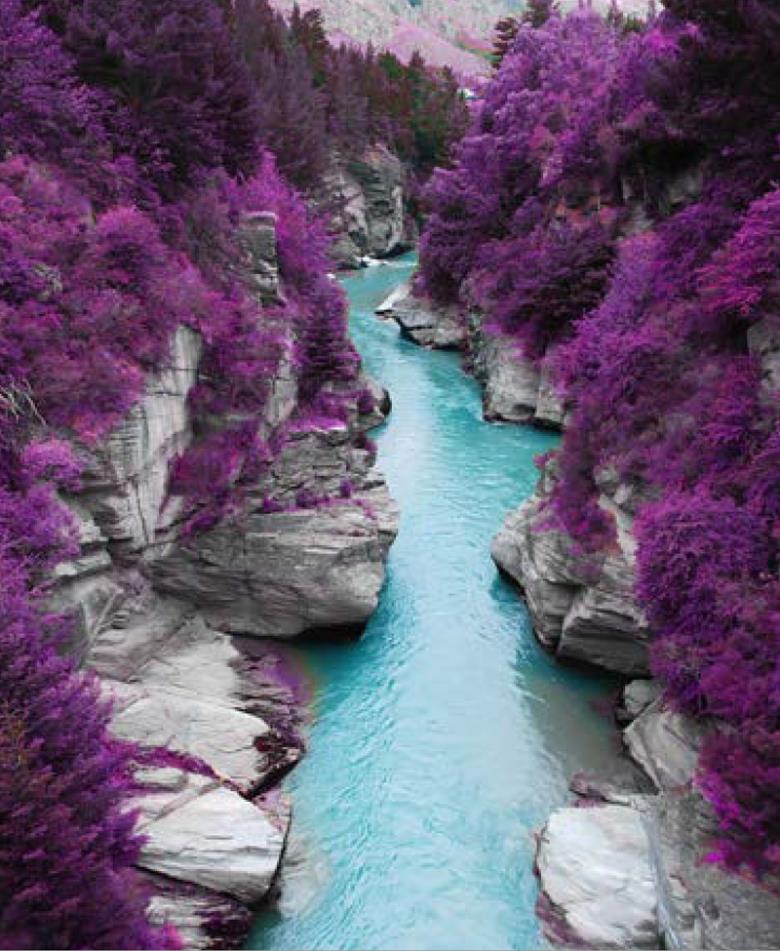 Roller και ταπετσαρία τοίχου E-210