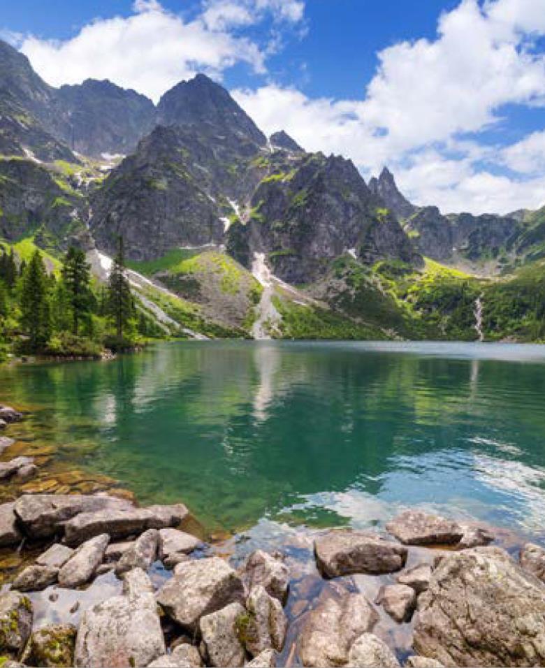 Roller και ταπετσαρία τοίχου E-211