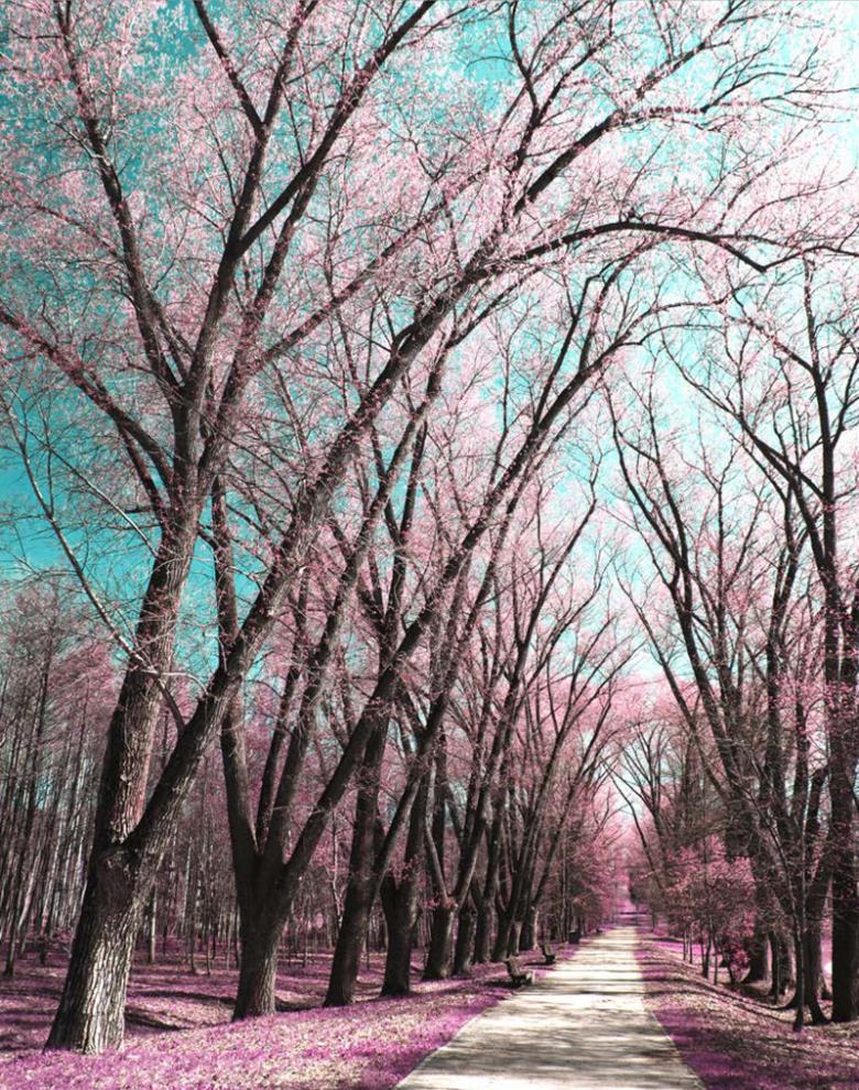 Roller και ταπετσαρία τοίχου E-215