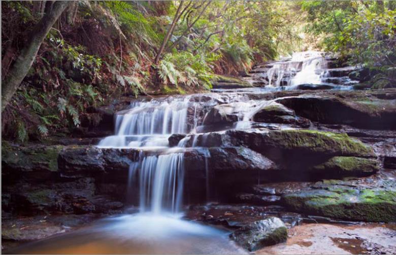 Roller και ταπετσαρία τοίχου E-222