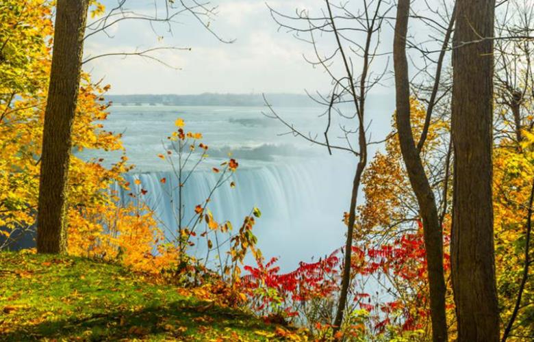 Roller και ταπετσαρία τοίχου E-223