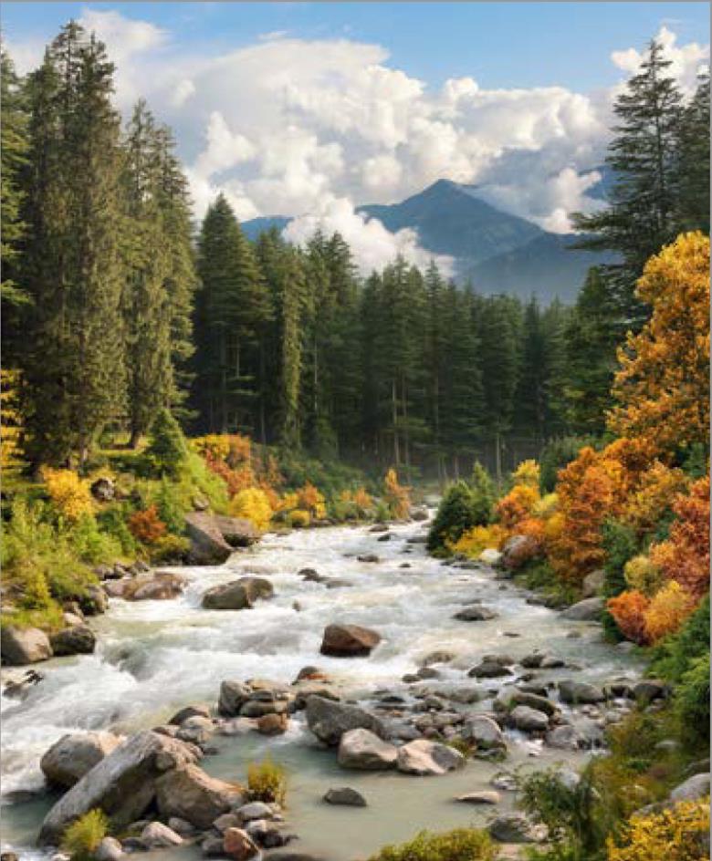 Roller και ταπετσαρία τοίχου E-225