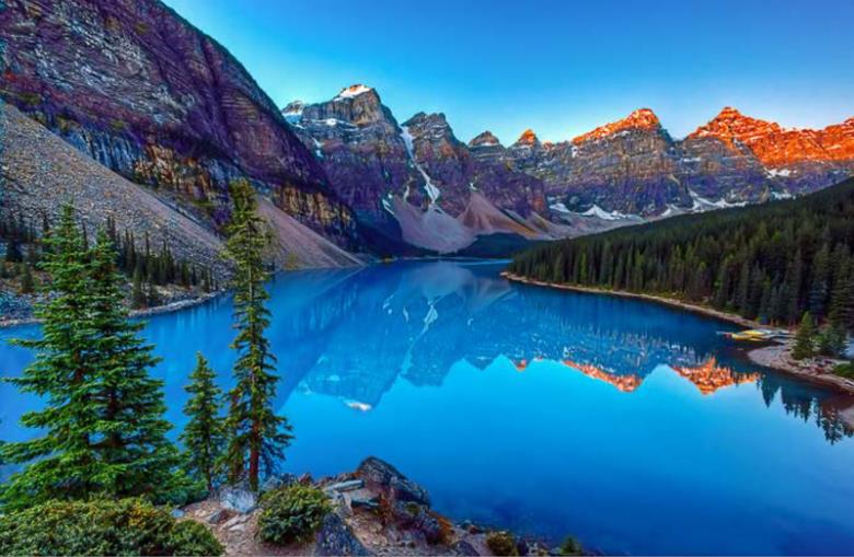 Roller και ταπετσαρία τοίχου E-228