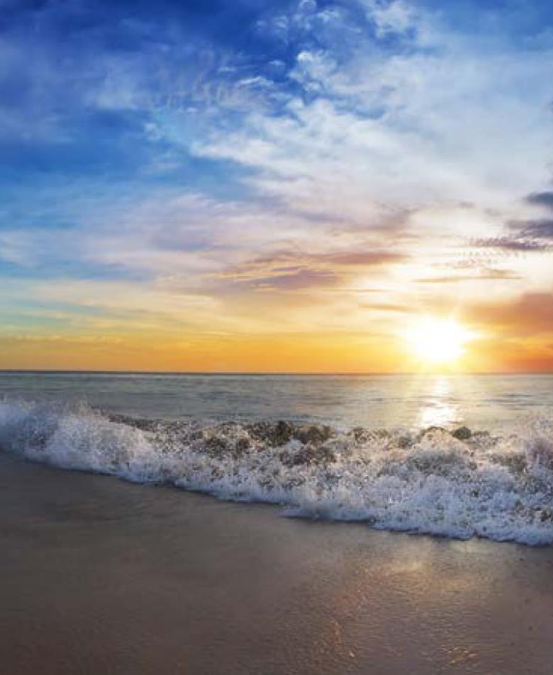 Roller και ταπετσαρία τοίχου E-232