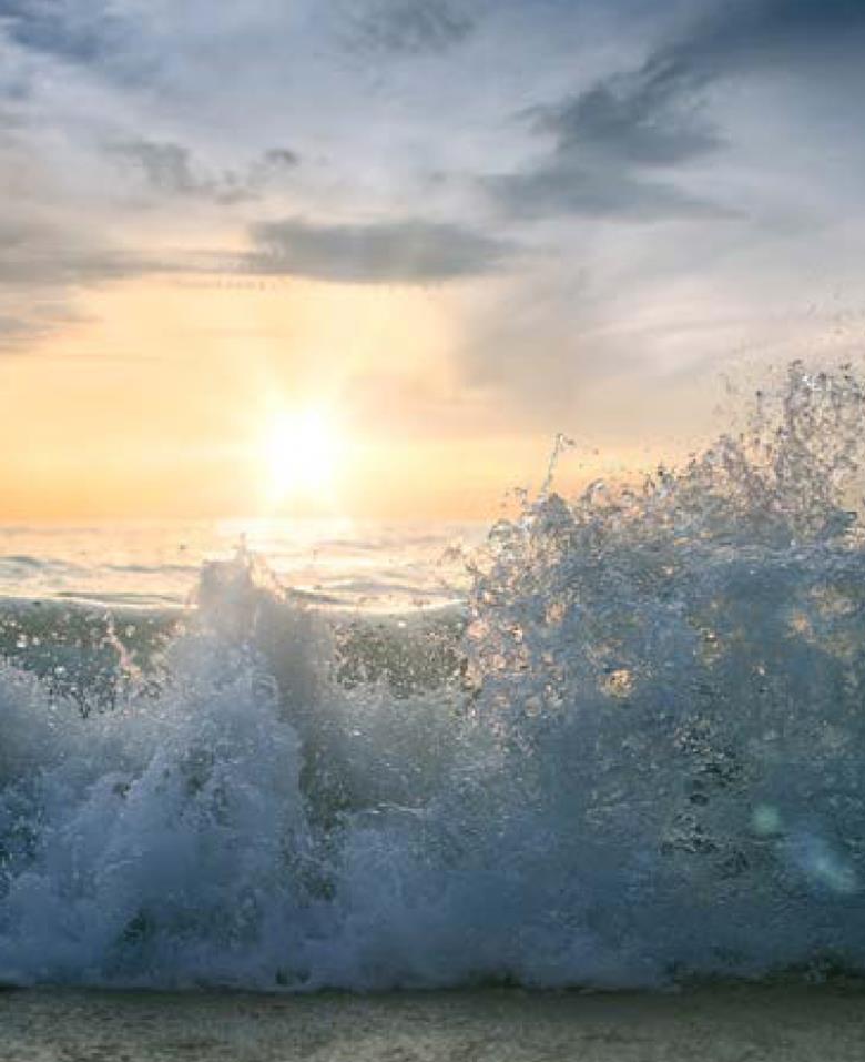 Roller και ταπετσαρία τοίχου E-233