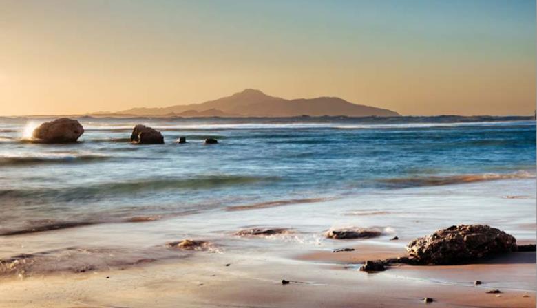 Roller και ταπετσαρία τοίχου E-235