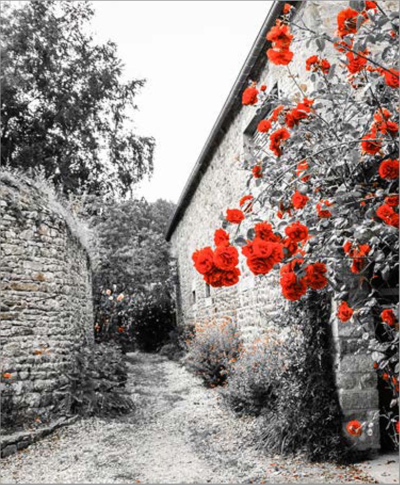 Roller και ταπετσαρία τοίχου E-240