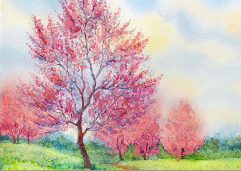 Roller και ταπετσαρία τοίχου E-277